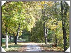 Fußweg an der Sinn